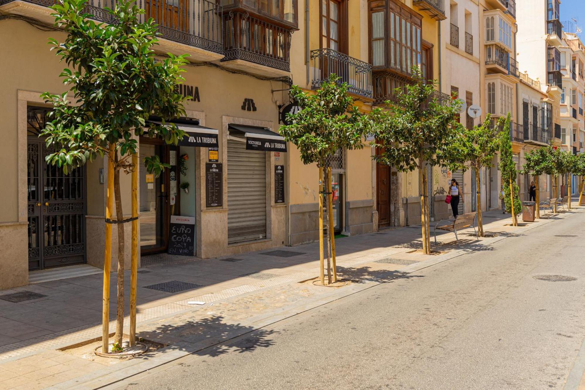 C103 - Sunny Terrace, Old Town Views Apartment Malaga Ngoại thất bức ảnh